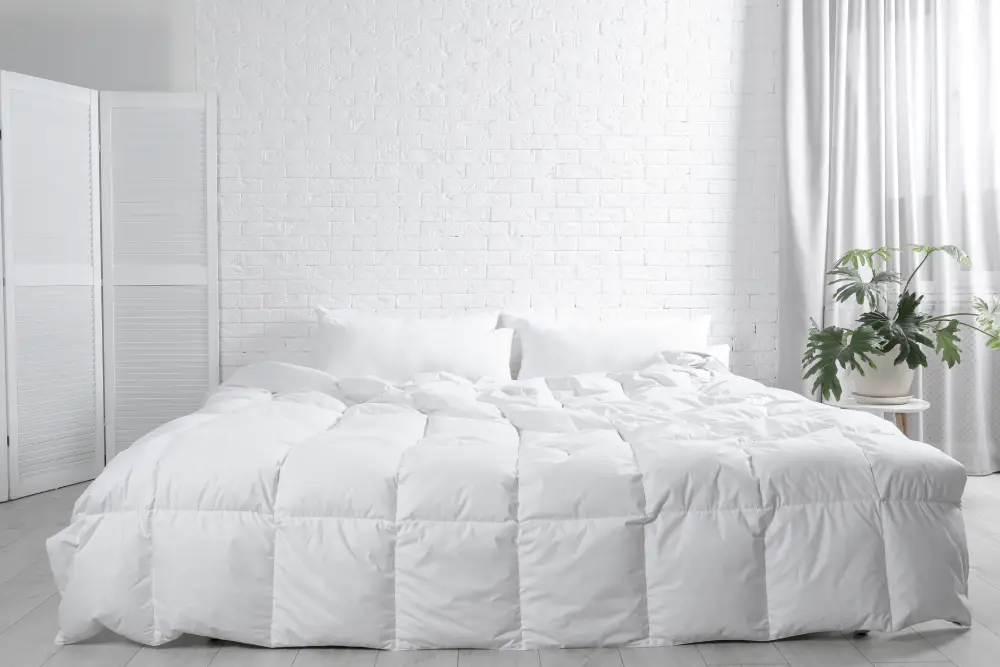 1Goose down comforter