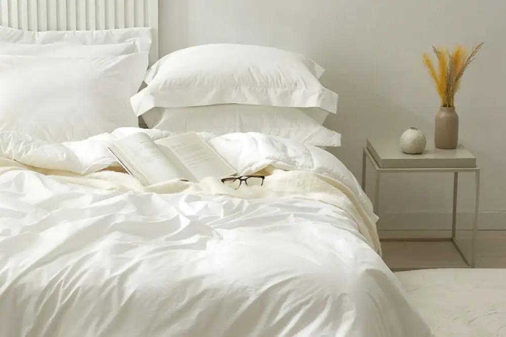 Down Comforters & Pillows