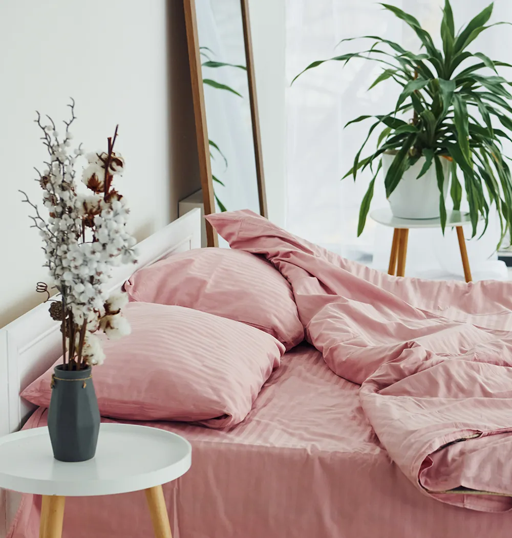 Fitted Sheet