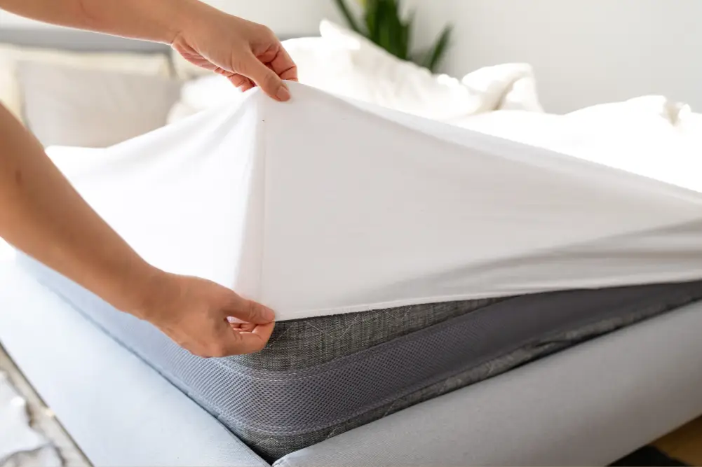 Fitted Sheet