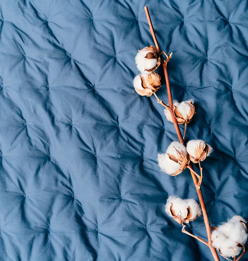 Quilts & Coverlets